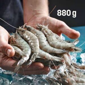 frische hansegarnelen 880 g